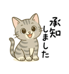 グレー猫の毎日スタンプ（個別スタンプ：3）