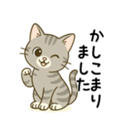 グレー猫の毎日スタンプ（個別スタンプ：4）