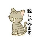 グレー猫の毎日スタンプ（個別スタンプ：5）