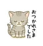 グレー猫の毎日スタンプ（個別スタンプ：11）