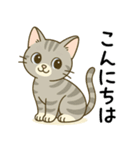 グレー猫の毎日スタンプ（個別スタンプ：15）