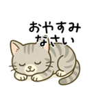 グレー猫の毎日スタンプ（個別スタンプ：16）