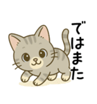 グレー猫の毎日スタンプ（個別スタンプ：17）