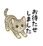グレー猫の毎日スタンプ（個別スタンプ：19）