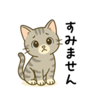 グレー猫の毎日スタンプ（個別スタンプ：20）