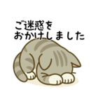 グレー猫の毎日スタンプ（個別スタンプ：22）