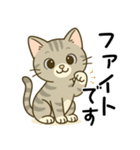 グレー猫の毎日スタンプ（個別スタンプ：24）