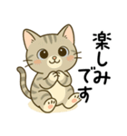 グレー猫の毎日スタンプ（個別スタンプ：25）