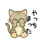 グレー猫の毎日スタンプ（個別スタンプ：27）