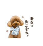 こたろうくん.mix（個別スタンプ：11）