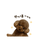こたろうくん.mix（個別スタンプ：14）