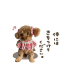 こたろうくん.mix（個別スタンプ：15）