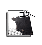 畜産農家スタンプ（個別スタンプ：9）