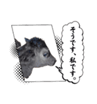 畜産農家スタンプ（個別スタンプ：10）