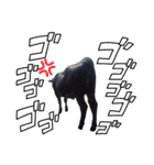 畜産農家スタンプ（個別スタンプ：14）
