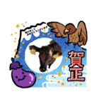 畜産農家スタンプ（個別スタンプ：22）