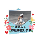 ヨガ︎︎ ☾ ໋꙳スタンプ（個別スタンプ：12）