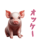 [オッケー専用]マイクロブタ達（個別スタンプ：2）