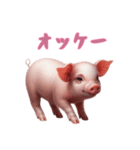 [オッケー専用]マイクロブタ達（個別スタンプ：5）