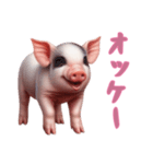 [オッケー専用]マイクロブタ達（個別スタンプ：6）