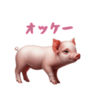 [オッケー専用]マイクロブタ達（個別スタンプ：8）