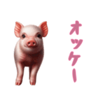 [オッケー専用]マイクロブタ達（個別スタンプ：11）