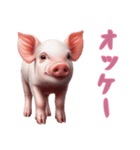 [オッケー専用]マイクロブタ達（個別スタンプ：15）