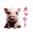 [オッケー専用]マイクロブタ達（個別スタンプ：16）