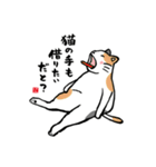 いいじゃニャいか猫だものスタンプ①（個別スタンプ：28）