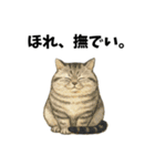 いいじゃニャいか猫だものスタンプ①（個別スタンプ：36）