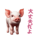[大丈夫だよ専用]マイクロブタ達（個別スタンプ：1）