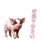 [お帰りなさい専用]マイクロブタ達（個別スタンプ：1）