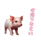 [お帰りなさい専用]マイクロブタ達（個別スタンプ：3）