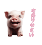 [お帰りなさい専用]マイクロブタ達（個別スタンプ：12）