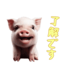 [了解です専用]マイクロブタ達（個別スタンプ：1）
