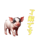 [了解です専用]マイクロブタ達（個別スタンプ：9）
