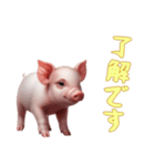 [了解です専用]マイクロブタ達（個別スタンプ：11）