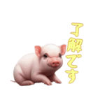 [了解です専用]マイクロブタ達（個別スタンプ：15）