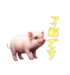 [了解です専用]マイクロブタ達（個別スタンプ：16）