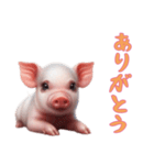 [ありがとう専用]マイクロブタ達（個別スタンプ：1）