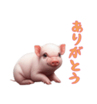 [ありがとう専用]マイクロブタ達（個別スタンプ：2）