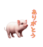 [ありがとう専用]マイクロブタ達（個別スタンプ：4）