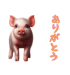 [ありがとう専用]マイクロブタ達（個別スタンプ：5）