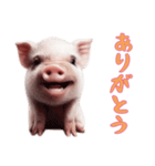 [ありがとう専用]マイクロブタ達（個別スタンプ：8）