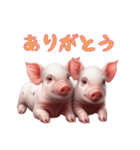 [ありがとう専用]マイクロブタ達（個別スタンプ：11）