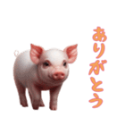 [ありがとう専用]マイクロブタ達（個別スタンプ：14）