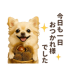 ずっと使える♡秋のチワワ！（個別スタンプ：6）