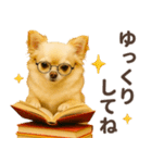 ずっと使える♡秋のチワワ！（個別スタンプ：20）