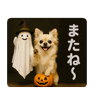 ずっと使える♡秋のチワワ！（個別スタンプ：24）