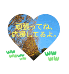 取り憑かれるようにして 日常挨拶 涙覚え（個別スタンプ：2）